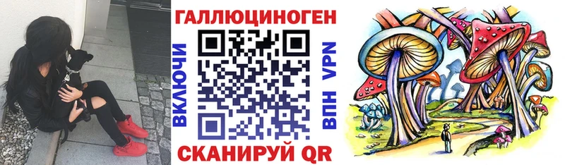 Псилоцибиновые грибы Cubensis  где продают   Набережные Челны 